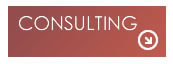 consulting