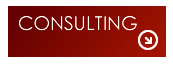 consulting